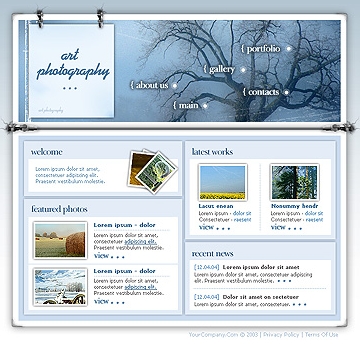 Webdesign 00324